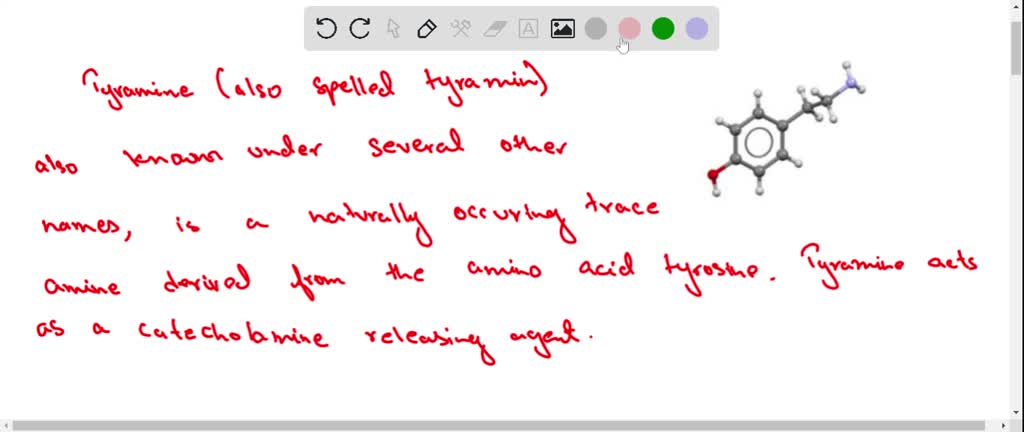 SOLVED From What Amino Acid Is Epinephrine Synthesized solved-from-what-amino-acid-is-epinephrine-synthesized