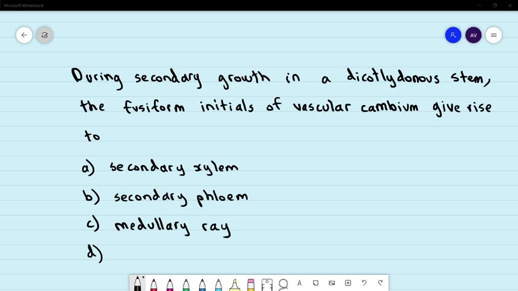 Solved during the secondary growth in a dicotyedonous stem the