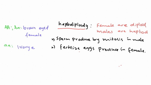 a-system-of-sex-determination-known-as-haplodiploidy-is-found-in-honeybees-females-are-diploid-and-m
