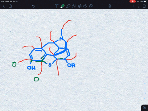 how-many-hydrogens-are-attached-to-each-of-the-indicated-carbons-in-morphine