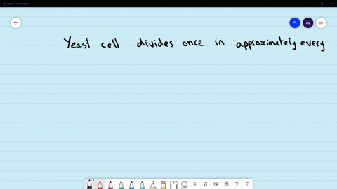yeast-cell-divides-once-in-approximately-every-a-90-minutes-b-9-minutes-c-24-hours-d-24-days