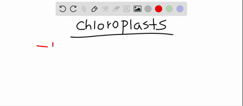 in-chloroplasts-a-light-leads-to-the-flow-of-protons-out-of-the-thylakoids-b-atp-is-formed-when-prot