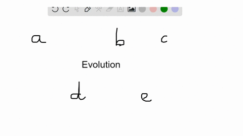 which-of-the-following-is-an-example-of-divergent-evolution-a-wildebeests-separated-from-each-other-