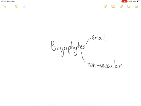 the-bryophytes-a-include-mosses-liverworts-and-hornworts-b-include-whisk-ferns-horsetails-and-club-5