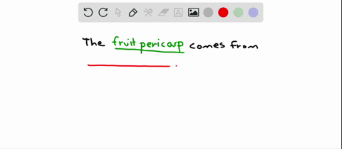 from-what-structure-does-a-fruit-pericarp-primarily-develop-a-the-style-b-a-stamen-filament-c-the-ov
