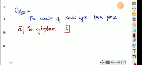 the-reaction-of-krebs-cycle-take-place-a-in-cytoplasm-b-in-endoplasmic-reticulum-c-in-matrix-of-mito