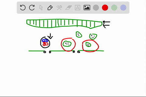 Solved:which Structure Or Compartment Is Part Of The Symplast? (A) The  Interior Of A Vessel Element (B) The Interior Of A Sieve Tube (C) The Cell  Wall Of A Mesophyll Cell (D) Solved:which Structure Or Compartment Is Part Of The Symplast? (A) The  Interior Of A Vessel Element (B) The Interior Of A Sieve Tube (C) The Cell  Wall Of A Mesophyll Cell (D)