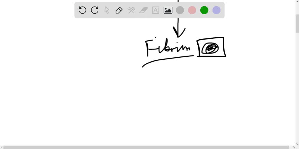 Does glass activate the blood clotting process? Numerade