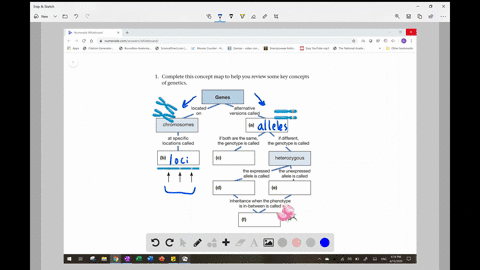 complete-this-concept-map-to-help-you-review-some-key-concepts-of-genetics-graph-cant-copy