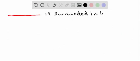 a-rubbery-secreted-matrix-of-glycoproteins-and-collagen-surrounds-living-cells-in-_____-a-bone-b-car