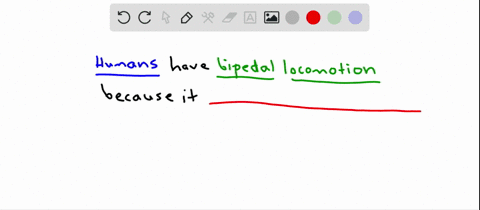 bipedalism-is-believed-to-have-evolved-in-the-human-lineage-because-bipedal-locomotion-is-a-more-eff