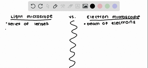 disadvantages of electron microscope vs light microscope