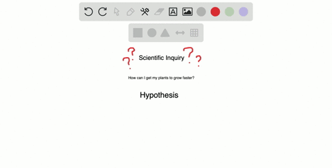 which-of-the-following-best-describes-the-logic-of-scientific-inquiry-a-if-i-generate-a-testable-h-2