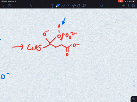 the-hydrolysis-of-a-biological-thioester-to-the-corresponding-carboxylate-is-often-more-complex-than