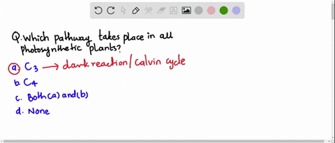 which-pathway-takes-place-in-all-photosynthetic-plant-a-mathrmc_3-b-mathrmc_4-c-both-a-and-b-d-none-