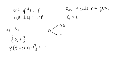 a-single-cell-has-probability-p-of-dividing-into-two-cells-and-probability-1-p-of-dying-without-divi