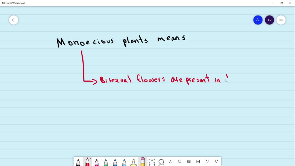 ⏩SOLVEDMonoecious plants means (A) Only male flowers are present in