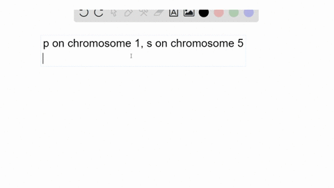 chromosomally-normal-corn-plants-have-a-p-locus-on-chromosome-1-and-an-s-locus-on-chromosome-5-p-g-2
