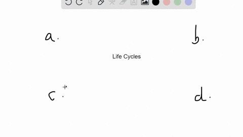 which-event-leads-to-a-diploid-cell-in-a-life-cycle-a-meiosis-b-fertilization-c-alternation-of-gener