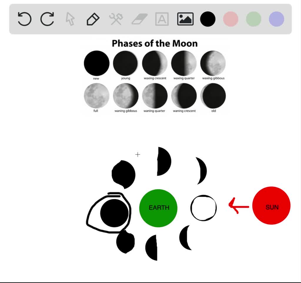 SOLVED Where Are The Sun And The Moon Located At The Time Of A New Moon 