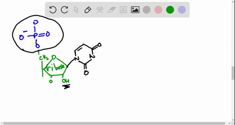 each-phosphodiester-linkage-in-dna-or-rna-includes-a-phosphate-joined-by-covalent-bonds-to-a-two-b-5
