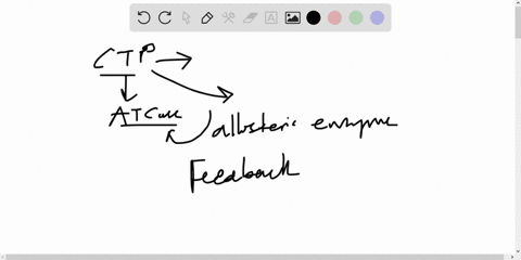partners-as-shown-in-figure-102-ctp-inhibits-atcase-however-the-inhibition-is-not-complete-can-you-s