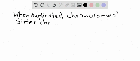sister-chromatids-of-each-duplicated-chromosome-end-up-at-opposite-spindle-poles-during-____________