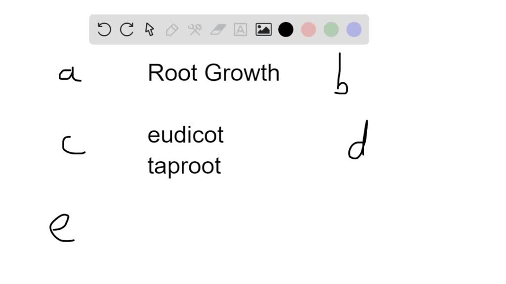 SOLVEDA student left a carrot in her refrigerator. Three weeks later