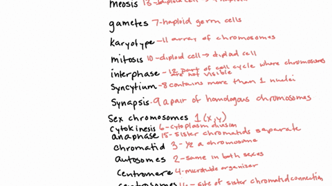 choose-the-best-matching-phrase-in-the-right-column-for-each-of-the-terms-in-the-left-column-a-meios