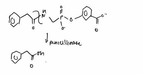 the-following-compound-has-been-found-to-be-an-inhibitor-of-penicillinase-the-enzyme-can-be-reacti-3
