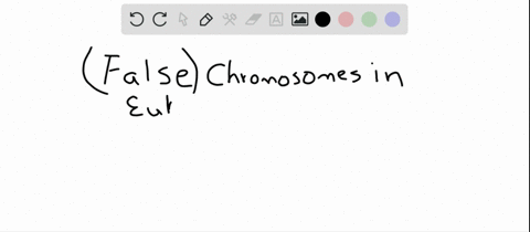 which-statement-about-eukaryotic-chromosomes-is-not-true-a-they-sometimes-consist-of-two-chromatids-