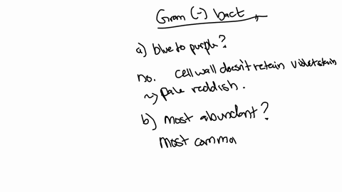 gram-negative-bacteria-a-appear-blue-to-purple-following-gram-staining-b-are-the-most-abundant-of-th