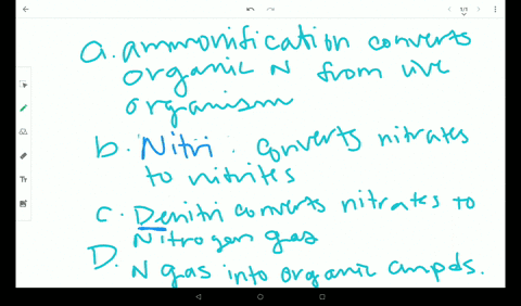 which-of-the-following-statements-about-the-nitrogen-cycle-is-false-a-ammonification-converts-orga-2