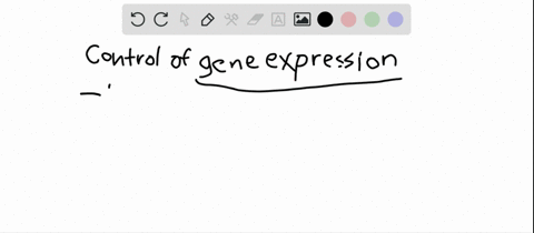 in-prokaryotes-control-of-gene-expression-usually-occurs-at-the-a-splicing-of-pre-mrna-into-mature-m