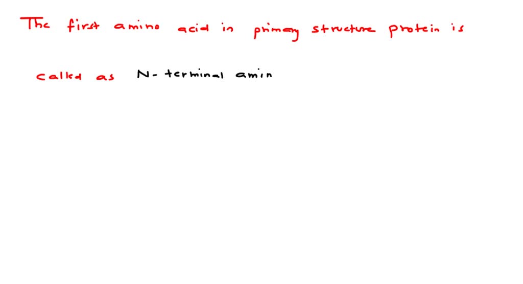 Assertion The first amino acid in primary structure protein is called