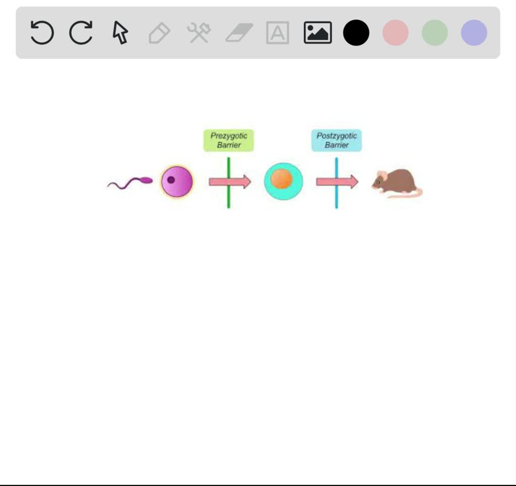 SOLVEDA prezygotic barrier prevents (a) the union of egg and sperm (b) reproductive success by