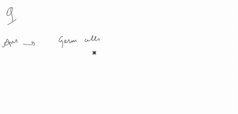 which-of-the-following-cells-can-undergo-meiosis-a-the-diploid-body-cells-of-an-animal-b-haploid-gam