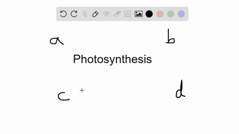 the-atoms-in-the-oxygen-molecules-released-during-photosynthesis-come-from-________-a-glucose-b-carb