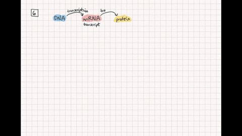 which-of-the-following-statements-about-gene-expression-is-false-a-more-than-one-rna-polymerase-can-