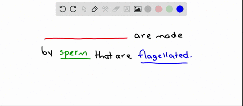 the-______-produce-flagellated-sperm-a-mosses-b-ferns-c-conifers-d-monocots-e-a-and-b-f-a-through