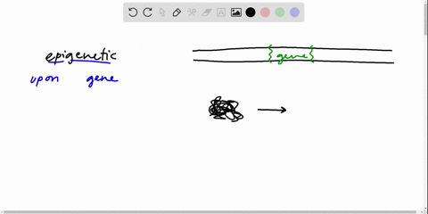 what-are-epigenetic-modifications-a-the-addition-of-reversible-changes-to-histone-proteins-and-dna-b