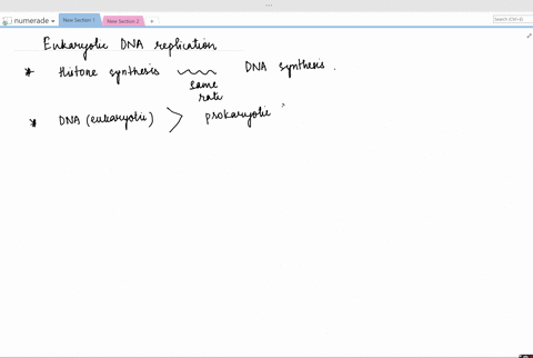 a-eukaryotic-dna-replication-is-more-complex-than-prokaryotic-replication-give-one-reason-why-this-2