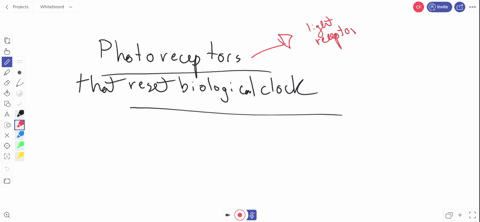 which-photoreceptor-s-isare-implicated-in-resetting-the-biological-clock-a-phytochrome-only-b-crypto