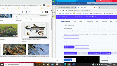 lampreys-and-sharks-both-have-________-a-jaws-b-a-bony-skeleton-c-a-cranium-d-a-swim-bladder-e-a-fou