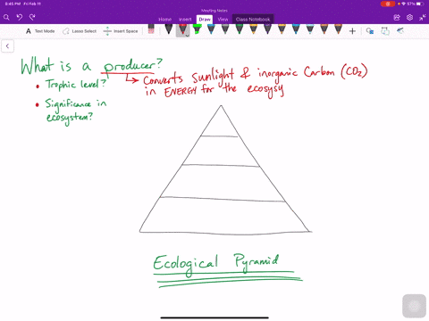 down model of food chain structure imply about ... Biology Diagrams