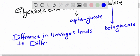 what-is-the-difference-in-the-glycosidic-bonds-in-starch-and-cellulose-how-does-this-difference-af-2