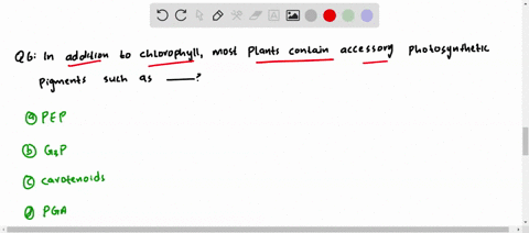 in-addition-to-chlorophyll-most-plants-contain-accessory-photosynthetic-pigments-such-as-a-pep-b-g3p