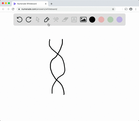 describe-the-double-helix-of-dna-and-the-process-of-dna-replication-how-are-the-two-strands-of-nucle