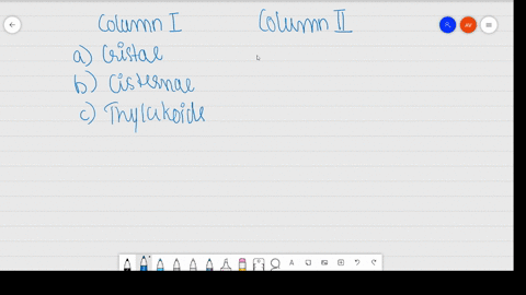 match-the-following-column-i-column-ii-a-cristae-i-flat-membranous-sacs-in-stroma-b-cisternae-ii-inf