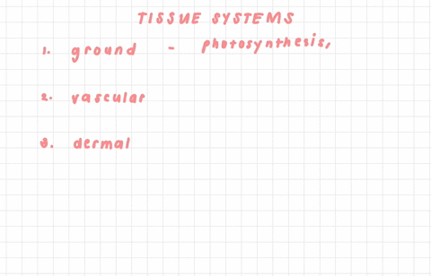 which-tissue-system-provides-a-covering-for-the-plant-body-a-ground-b-vascular-c-periderm-d-dermal-5